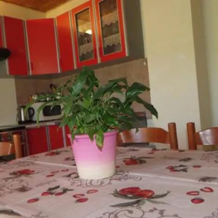 Serene Barbat Escape With Just Minutes From The Apartment Rab Town